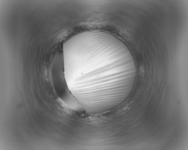 X0000055981300200509091942