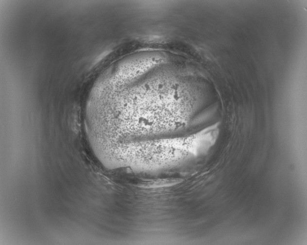 X0000055981301200509091942