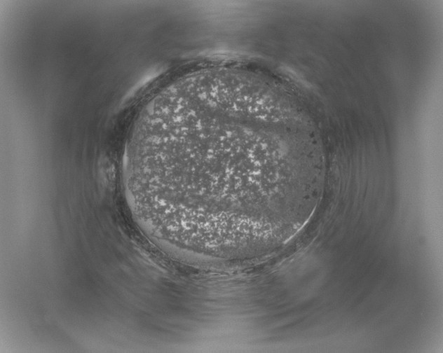 X0000055981302200509091942