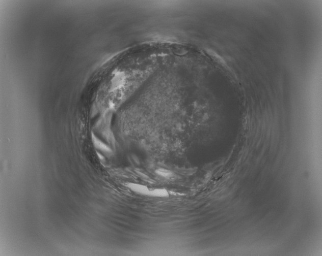 X0000055981303200509091943