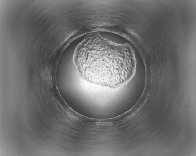 X0000055981305200509091943