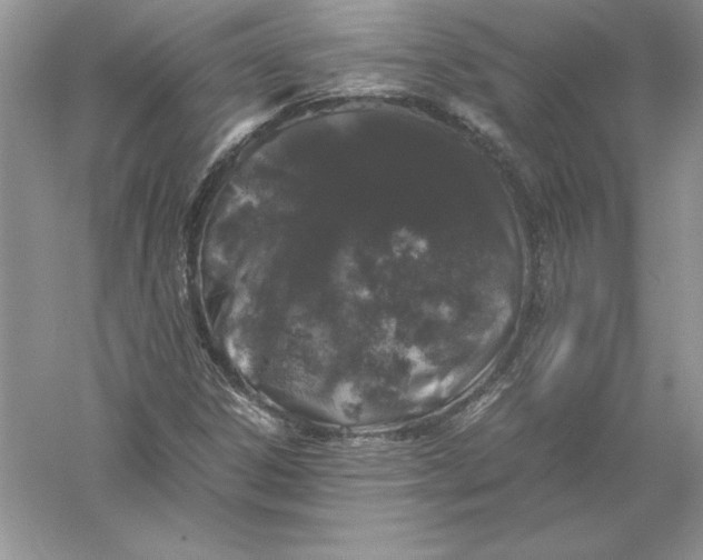 X0000055981306200509091943