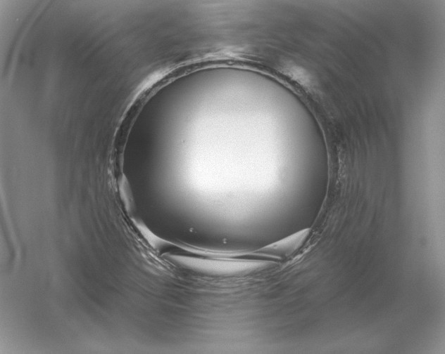 X0000055981308200509091943