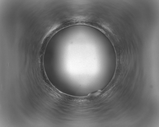 X0000055981309200509091943