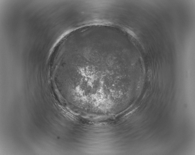 X0000055981310200509091943