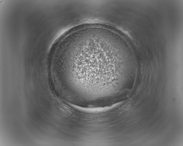 X0000055981311200509091943