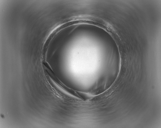 X0000055981312200509091943