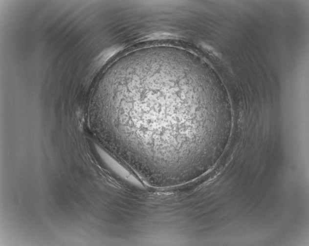 X0000055981313200509091943