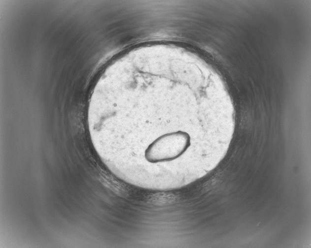 X0000055981314200509091943