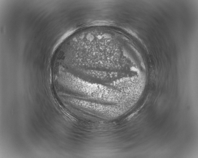 X0000055981317200509091943