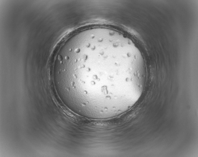 X0000055981318200509091943