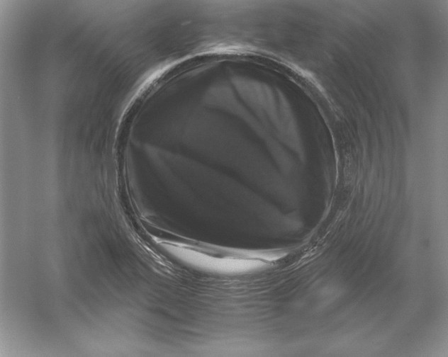 X0000055981319200509091943