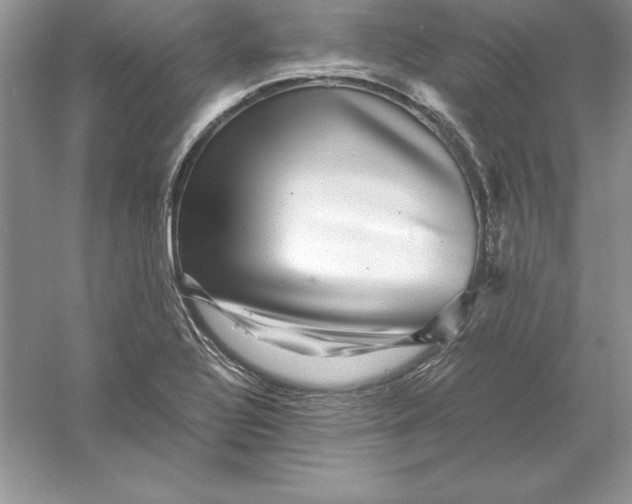 X0000055981320200509091943