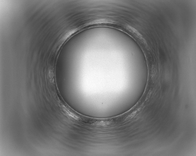 X0000055981321200509091943