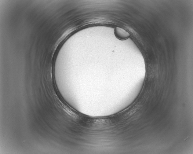 X0000055981322200509091943