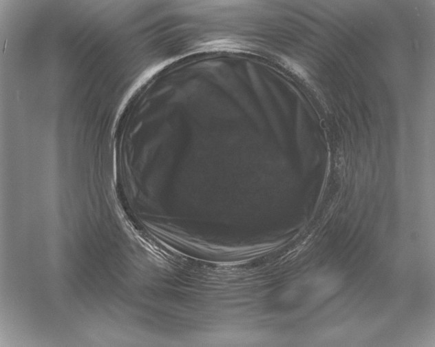 X0000055981323200509091943