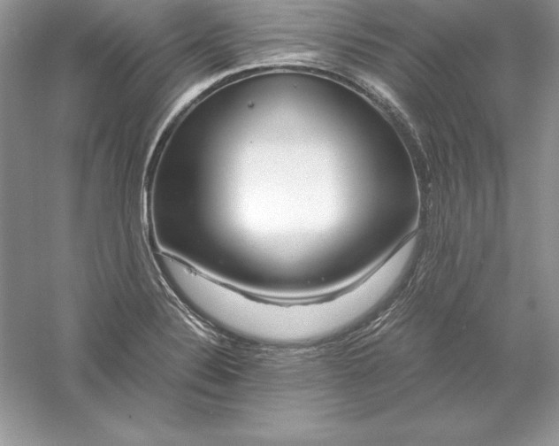 X0000055981324200509091943