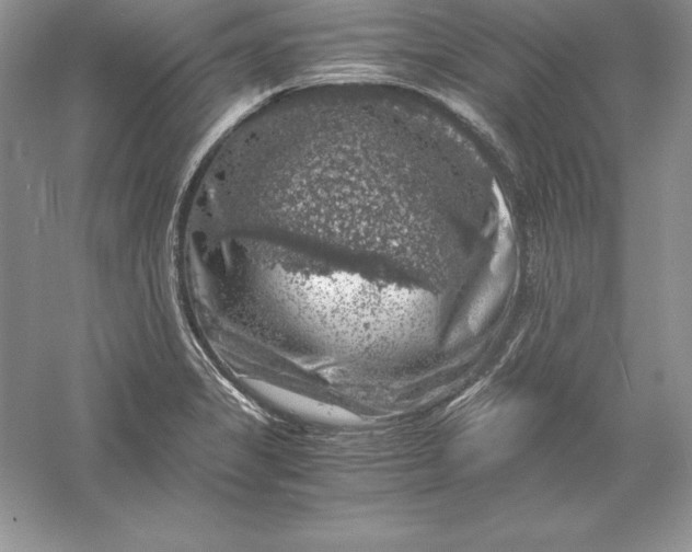 X0000055981325200509091943