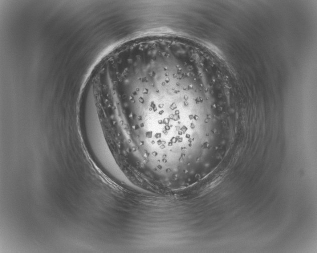 X0000055981326200509091943