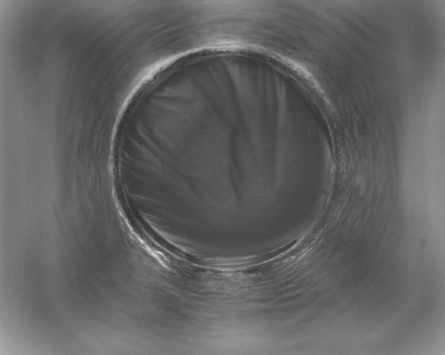 X0000055981327200509091943