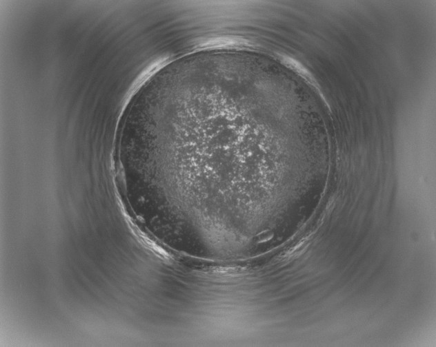 X0000055981330200509091943