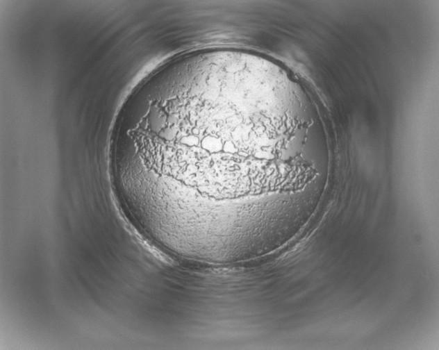 X0000055981333200509091943