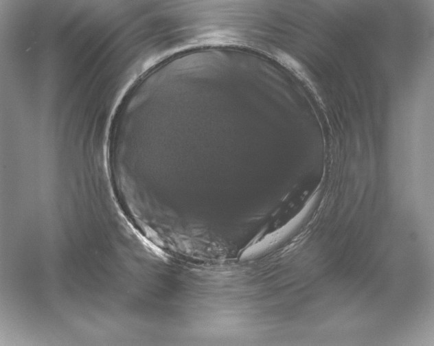 X0000055981334200509091943