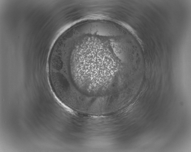 X0000055981335200509091943