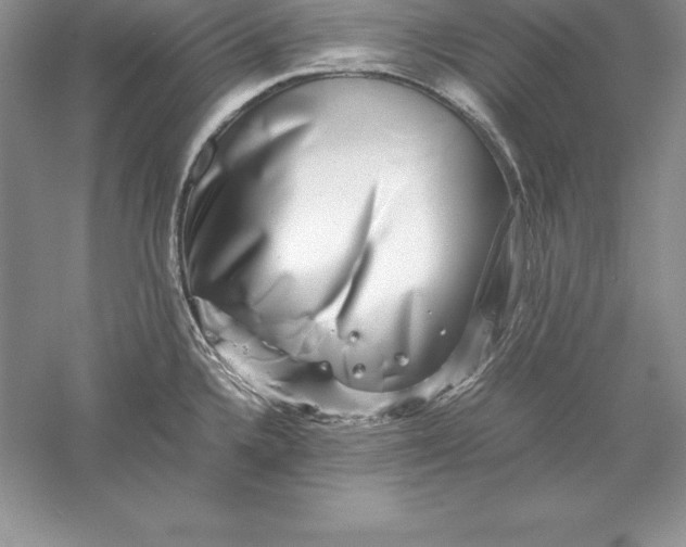 X0000055981336200509091943