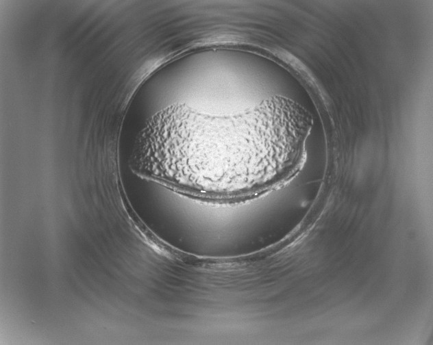 X0000055981337200509091943