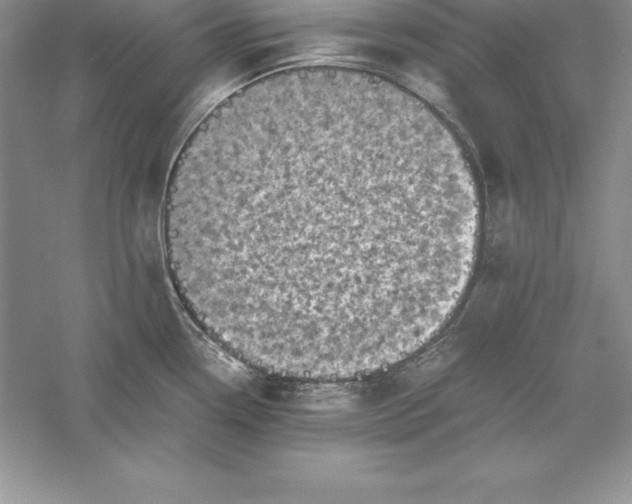 X0000055981338200509091943