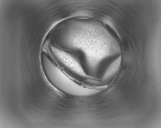 X0000055981339200509091943