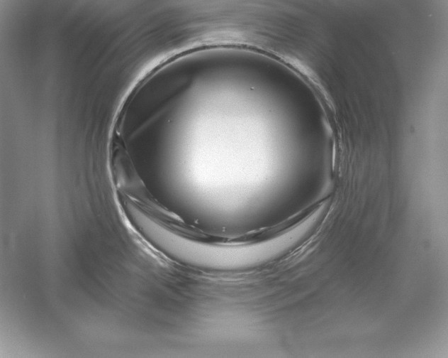 X0000055981342200509091943