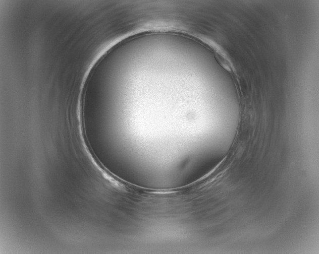 X0000055981343200509091943