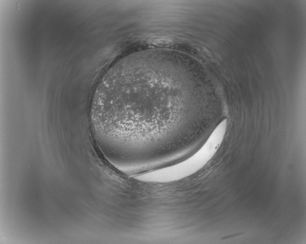 X0000055981345200509091942