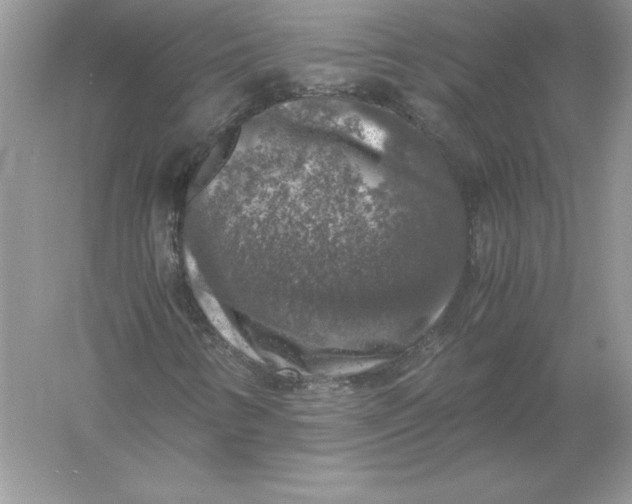 X0000055981346200509091942