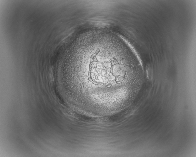 X0000055981347200509091942