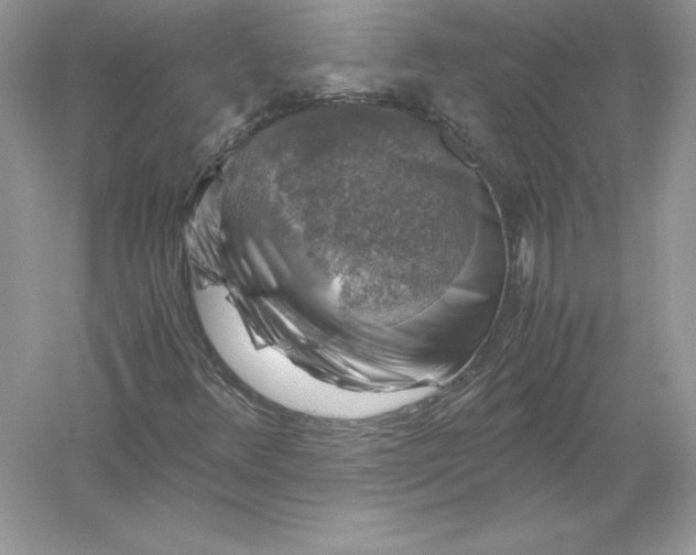 X0000055981348200509091942