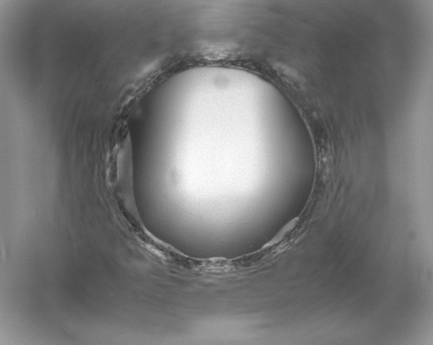 X0000055981349200509091942