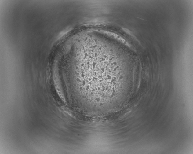 X0000055981350200509091942