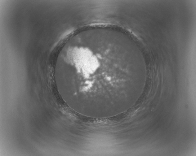 X0000055981351200509091942