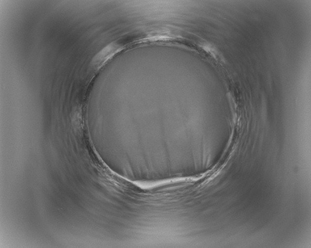 X0000055981353200509091942