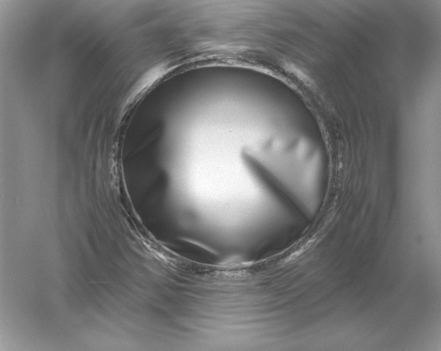 X0000055981354200509091942