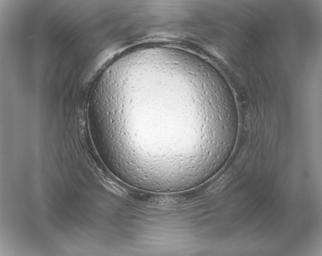 X0000055981355200509091942