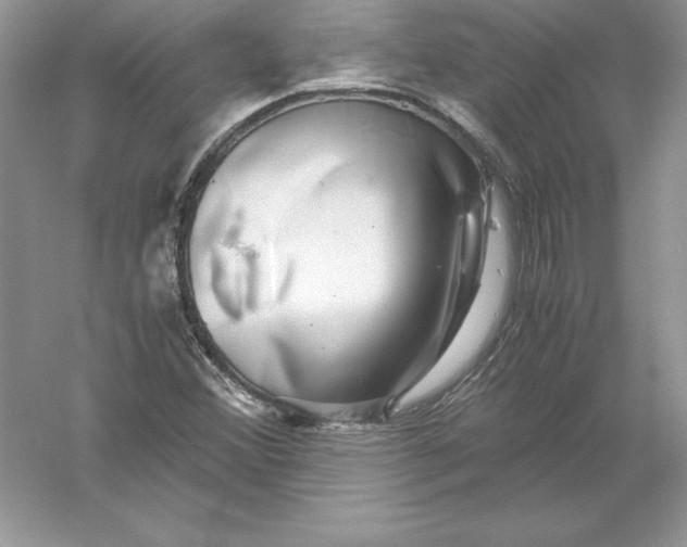 X0000055981356200509091942