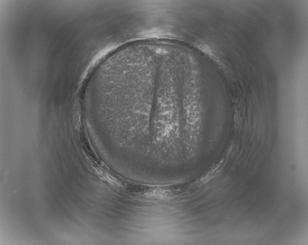 X0000055981358200509091942