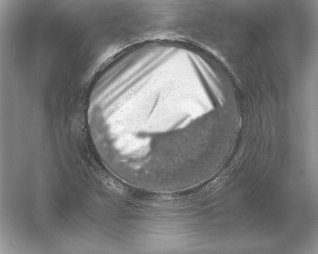 X0000055981359200509091942