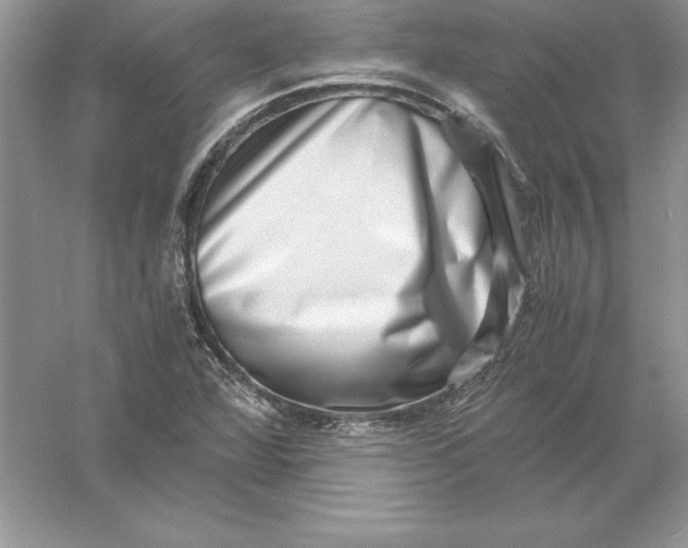 X0000055981360200509091942