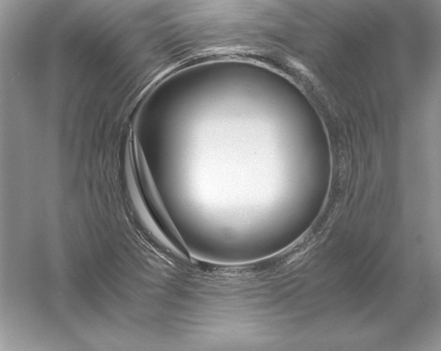 X0000055981361200509091942