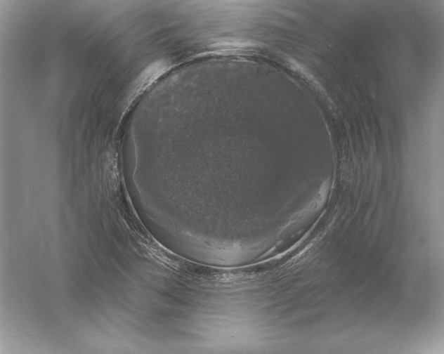 X0000055981362200509091942